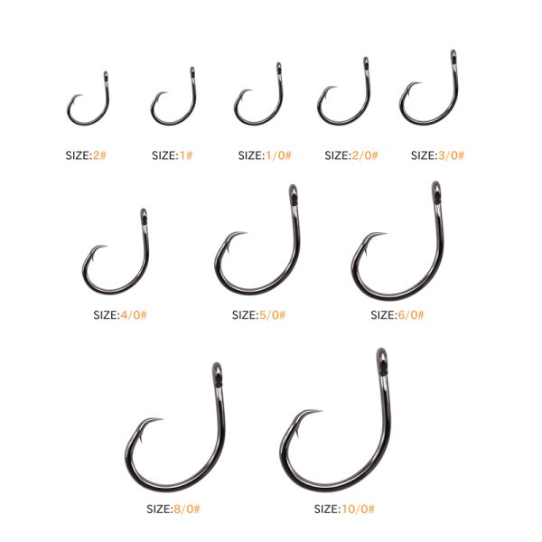 Circle Hook - Image 4