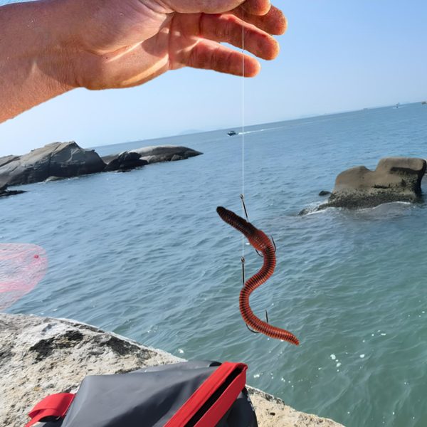 Sea Fishing Pulley Rigs - Image 7
