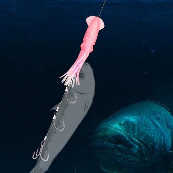 Deep Sea Fishing Live Bait Rigs - Image 6