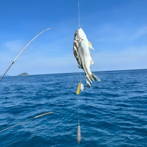 Fishing Sabiki Hooks - Image 6