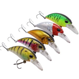 Fishing Swimbait